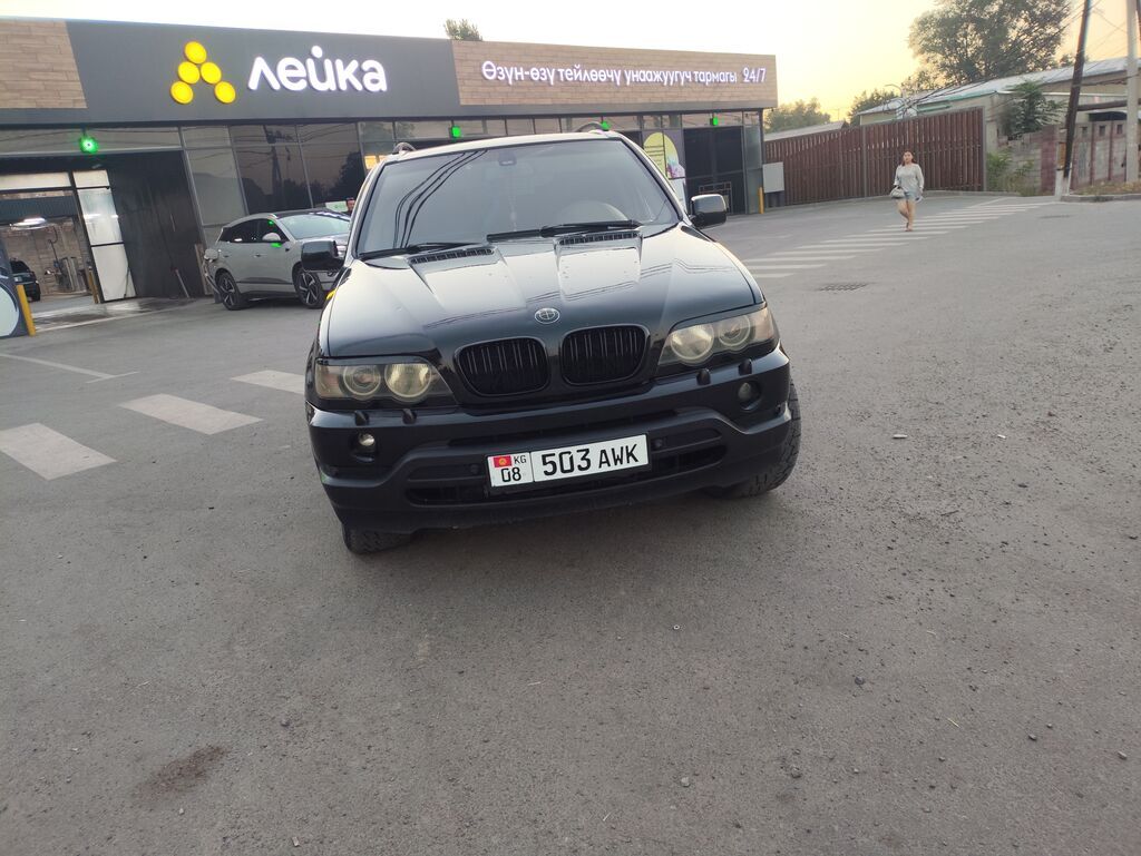 BMW X5: 2003 г., 3 л, Автомат, Дизель, Внедорожник: фото 7