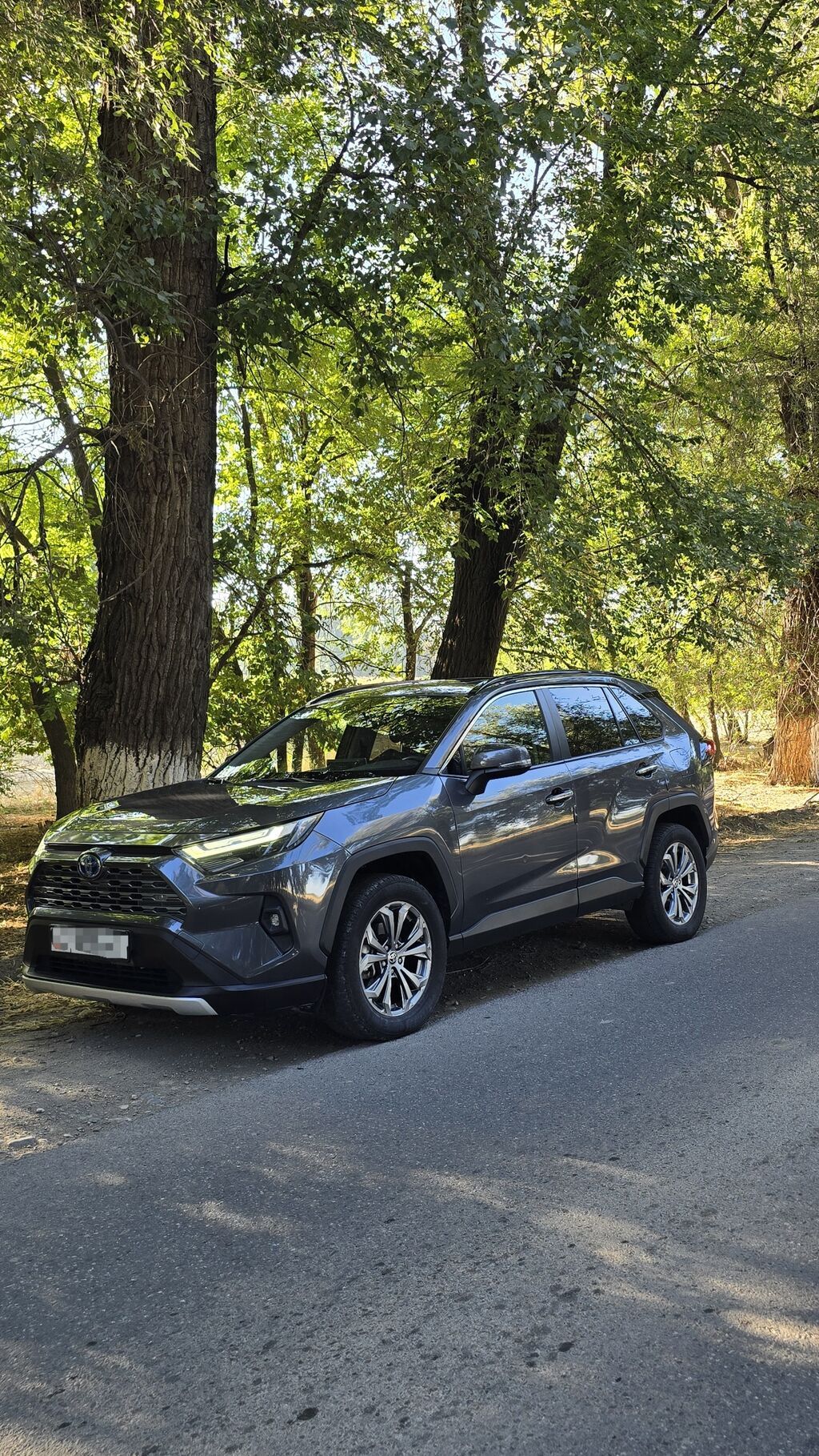 Toyota RAV4: 2023 г., 2.5 л, Автомат, Гибрид, Кроссовер: фото 4