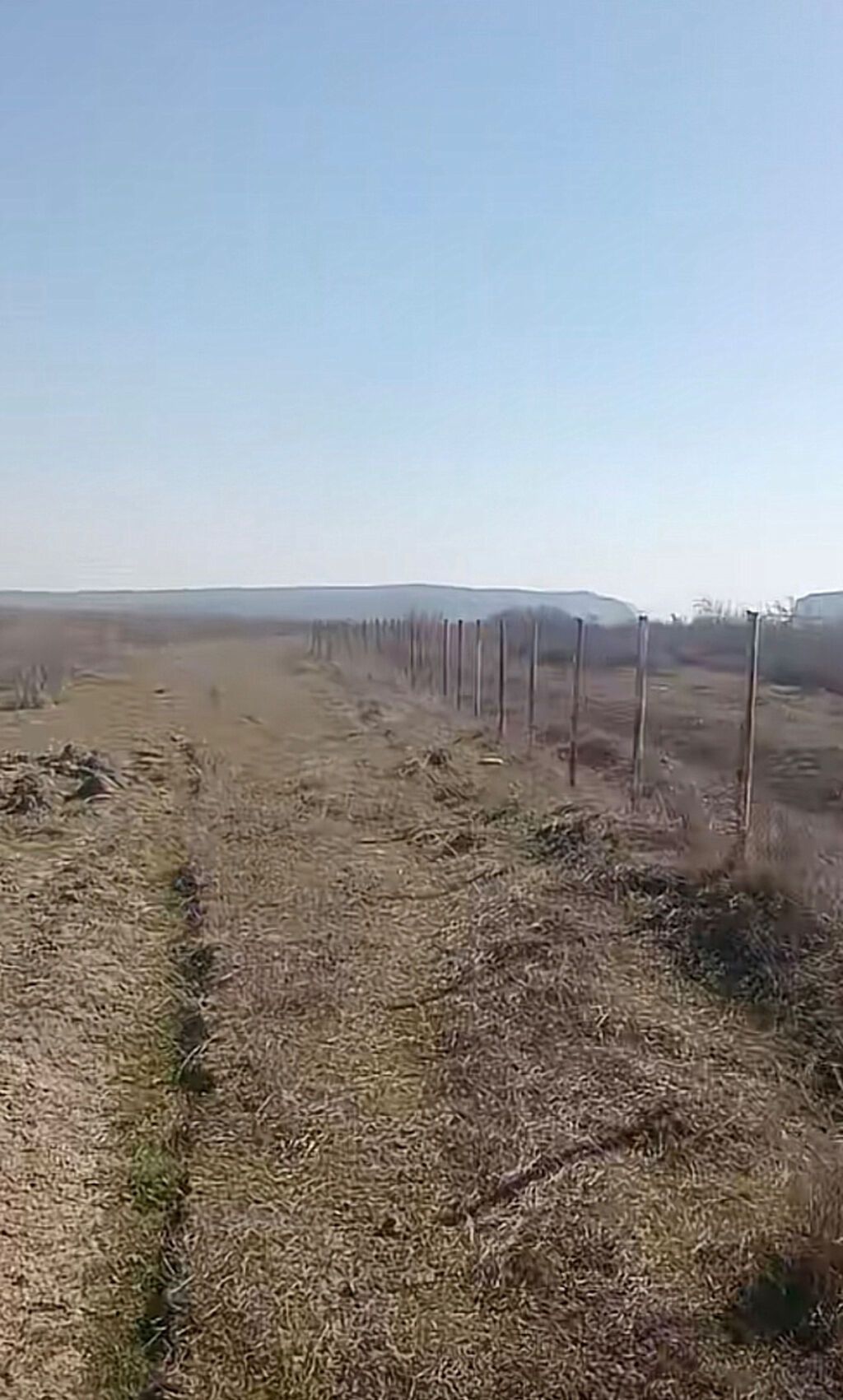2570 sot, Kənd təsərrüfatı, Kupça (Çıxarış)