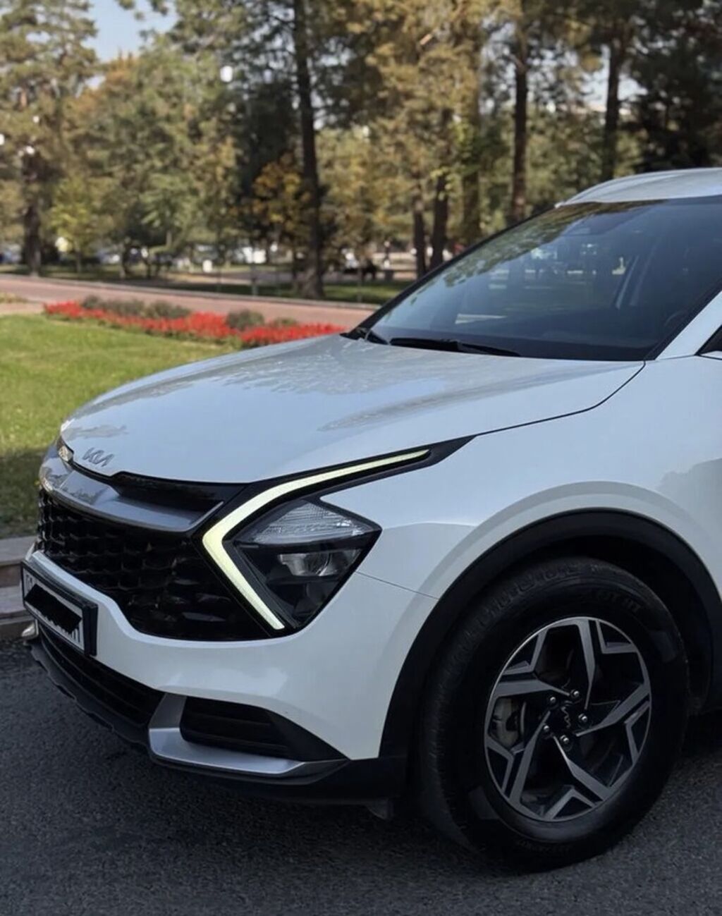 Kia Sportage: 2021 г., 2 л, Автомат, Дизель, Кроссовер: фото 1