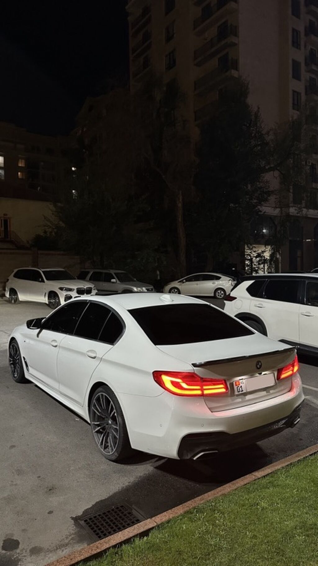 BMW 5 series: 2019 г., 2 л, Автомат, Бензин, Седан: фото 7