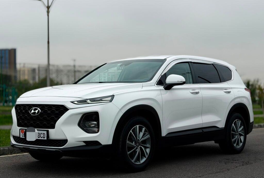 Hyundai Santa Fe: 2019 г., 2 л, Автомат, Дизель, Кроссовер: фото 3