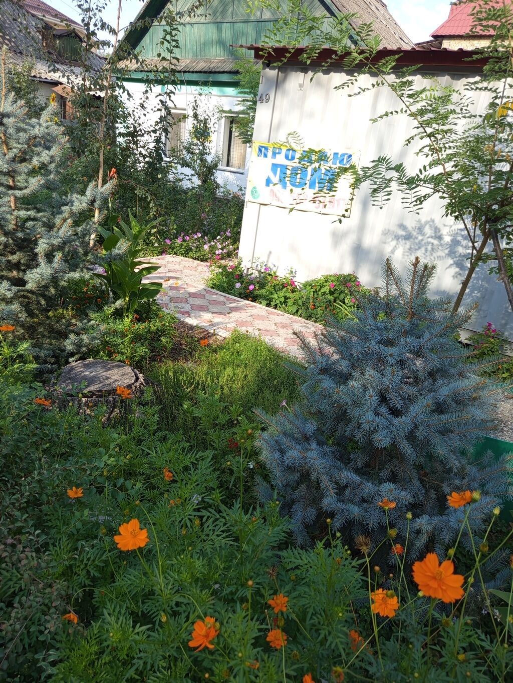 Участок 4 сотки в центре Бишкека, у Ботанического сада: фото 8