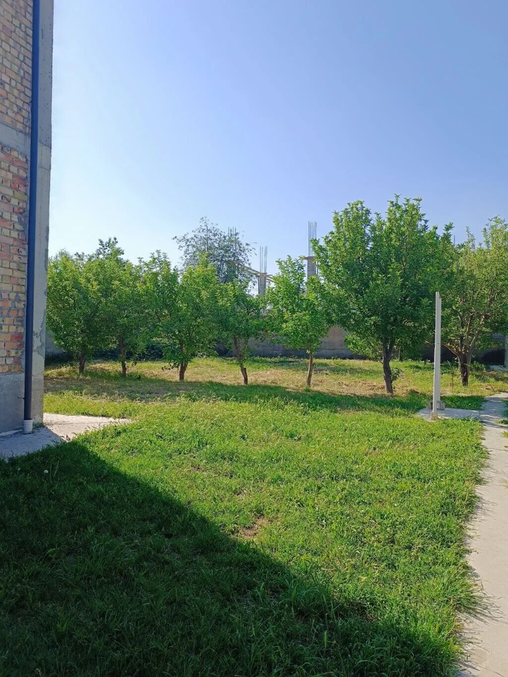 4 соток, Для строительства, Договор купли-продажи, Красная книга: фото 2