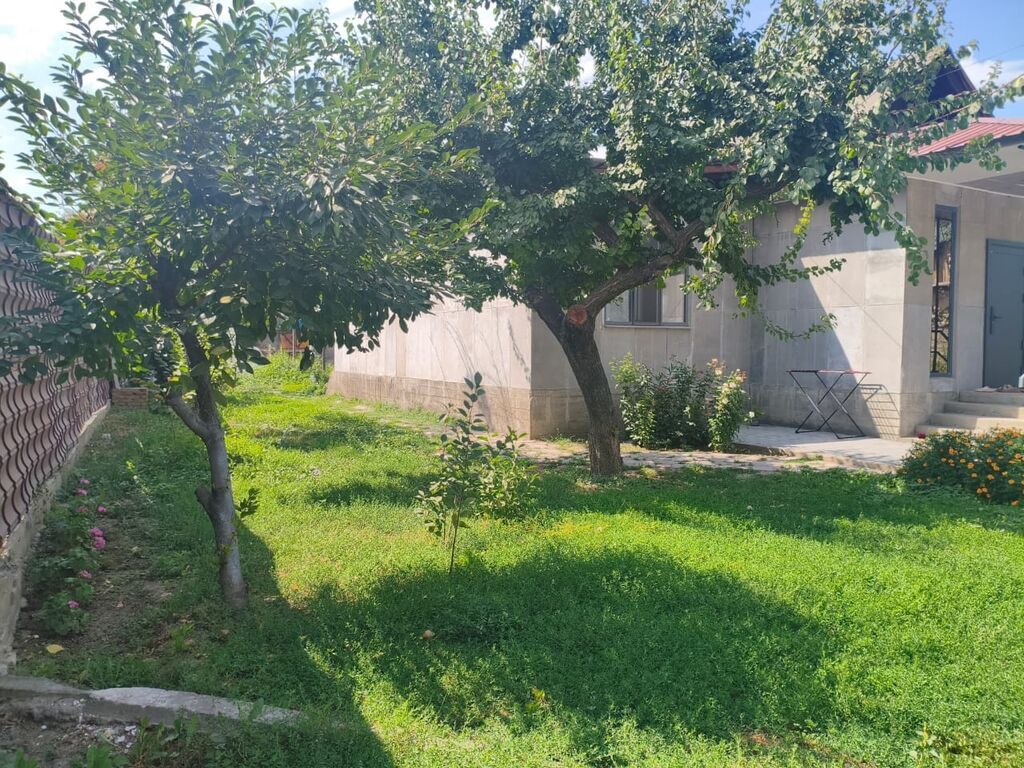 Дом с участком и садом. Можно разделить участок на две части (флажок): фото 3