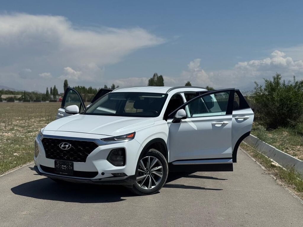 Hyundai Santa Fe: 2019 г., 2.4 л, Автомат, Бензин, Кроссовер: фото 7