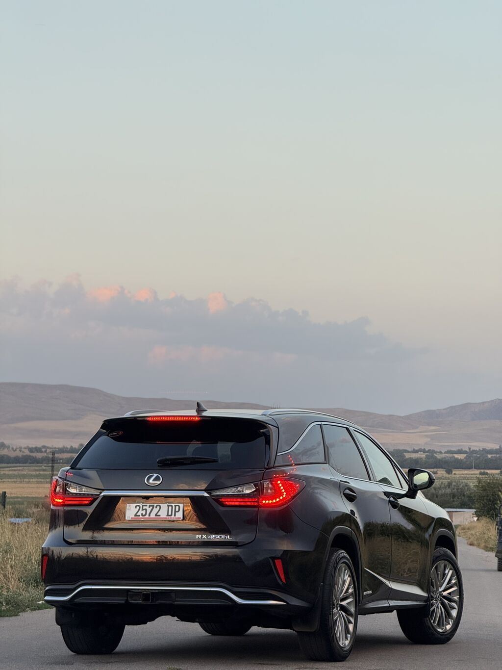 Lexus RX: 2020 г., 3.5 л, Автомат, Гибрид, Кроссовер: фото 5