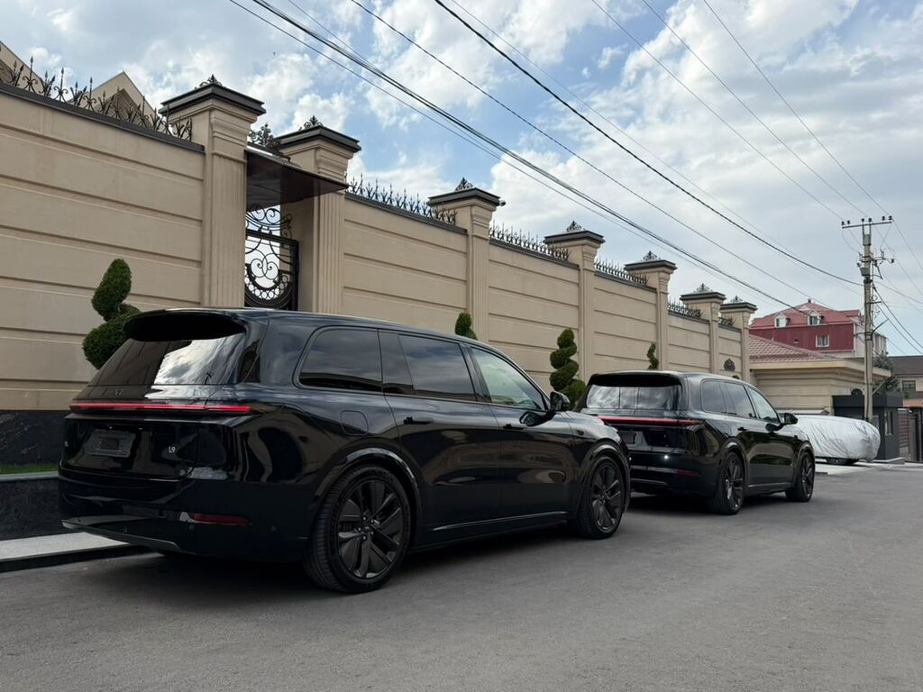 Lixiang L9: 2023 г., 1.5 л, Автомат, Гибрид, Кроссовер: фото 4