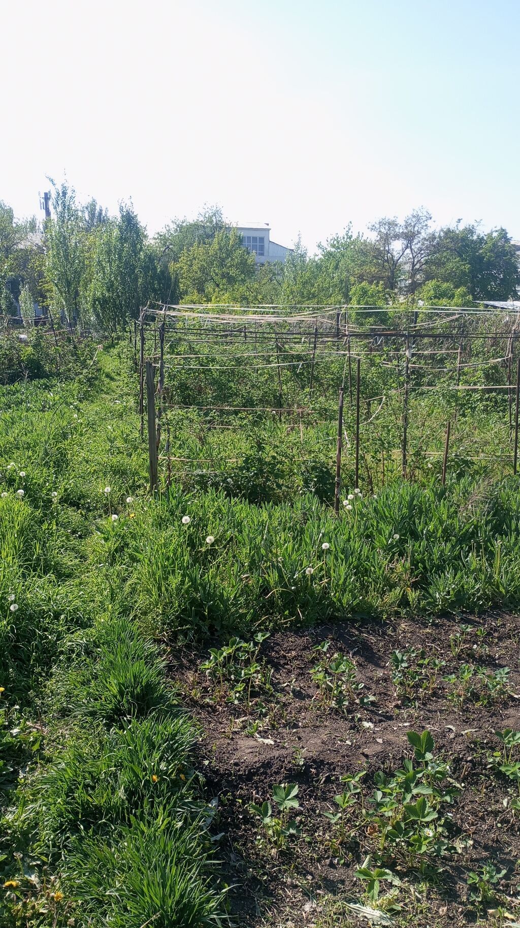 ТОРГ!!!! СРОЧНО ПРОДАЮ дом с участком 11 соток фактически ( на красной