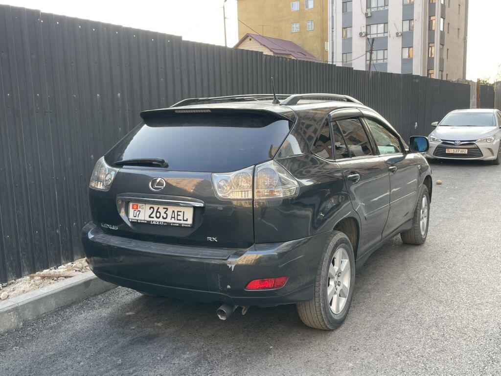 Lexus RX: 2004 г., 3 л, Автомат, Бензин, Кроссовер: фото 8