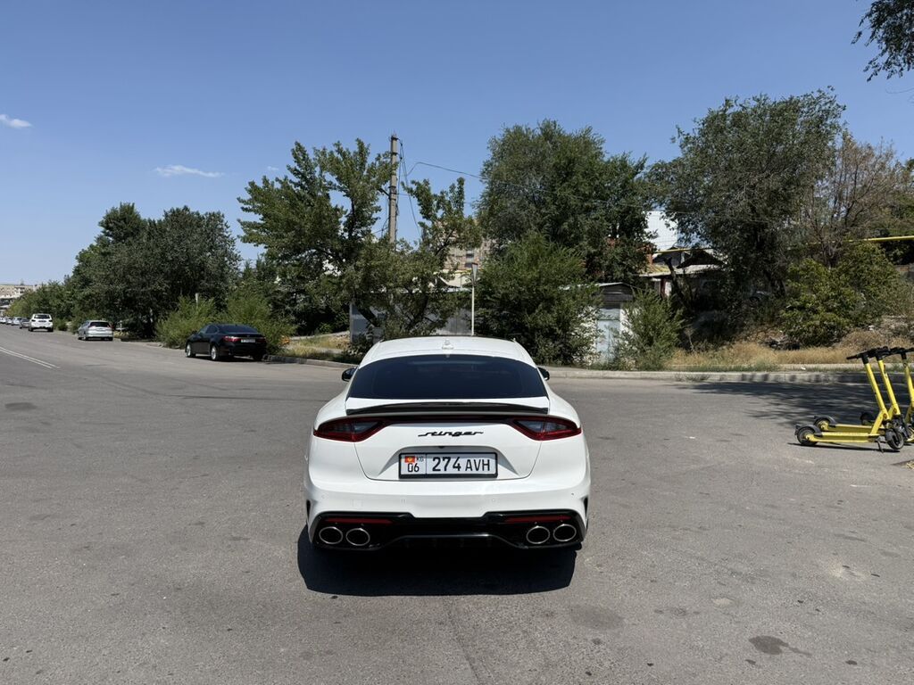 Kia Stinger: 2019 г., 2 л, Автомат, Бензин, Фастбек: фото 4