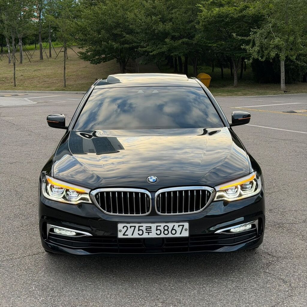 BMW 530: 2019 г., 2 л, Автомат, Бензин, Седан: фото 3