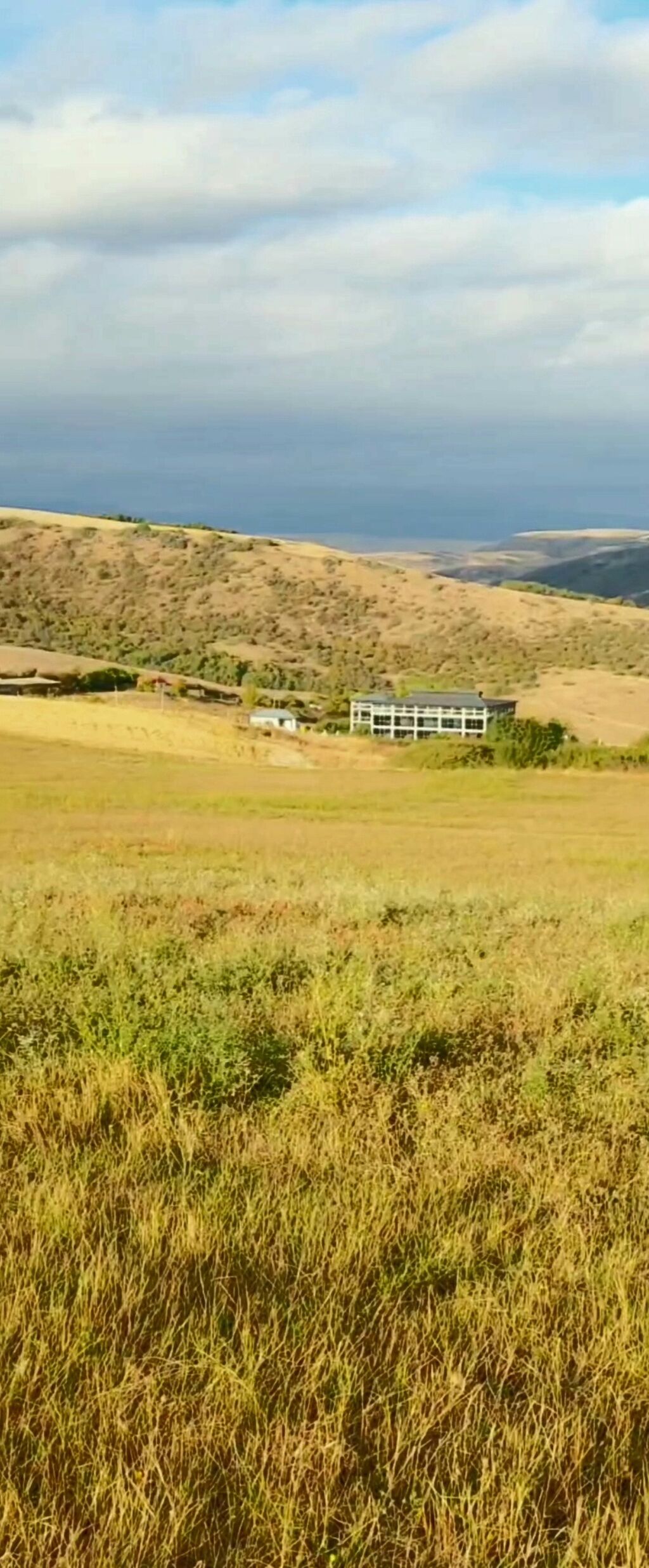1100 sot, Tikinti, Maklerlər narahat etməsin, Kupça (Çıxarış)