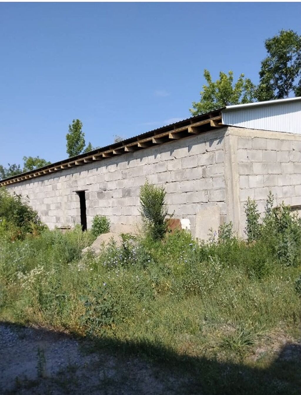 5 комнат, 120 м², Бишкек: фото 5