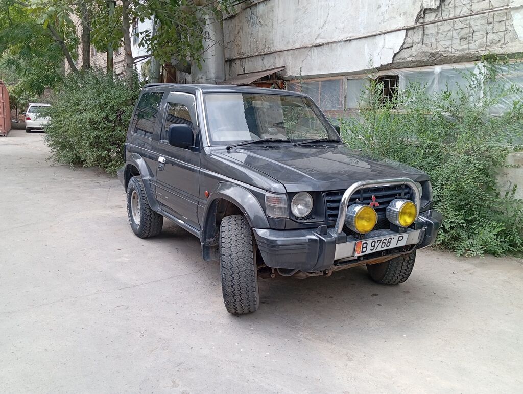Mitsubishi Pajero: 1991 г., 2.5 л, Автомат, Дизель, Внедорожник: фото 2