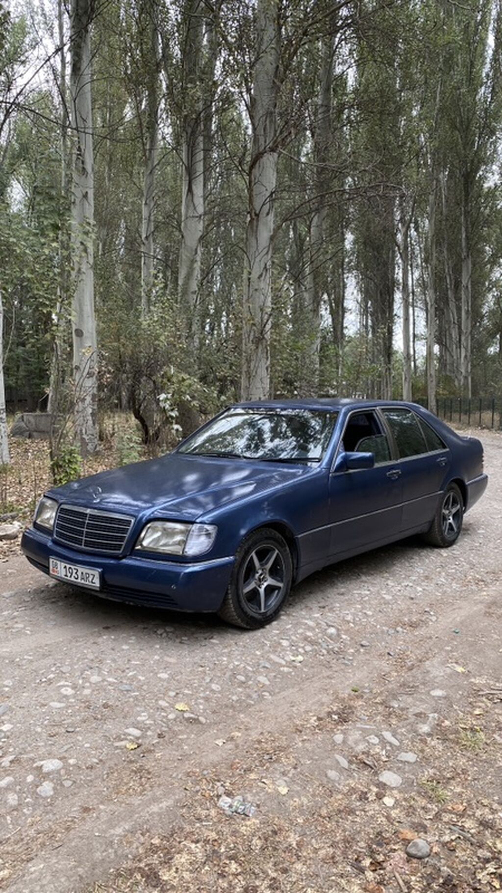 Mercedes-Benz S-Class: 1992 г., 3 л, Автомат, Дизель, Седан: фото 5