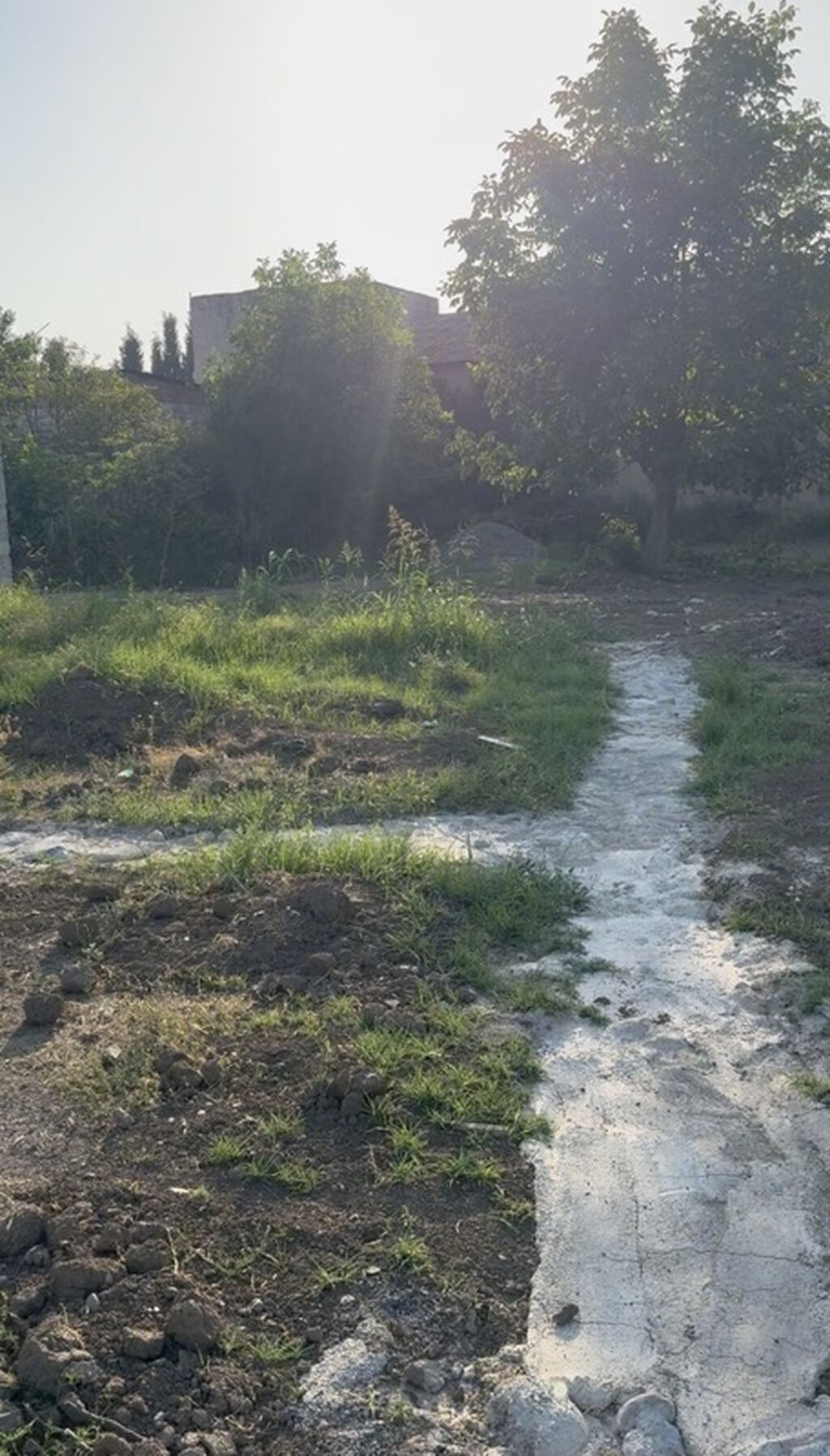 2 sot, Tikinti, Mülkiyyətçi, Kupça (Çıxarış)