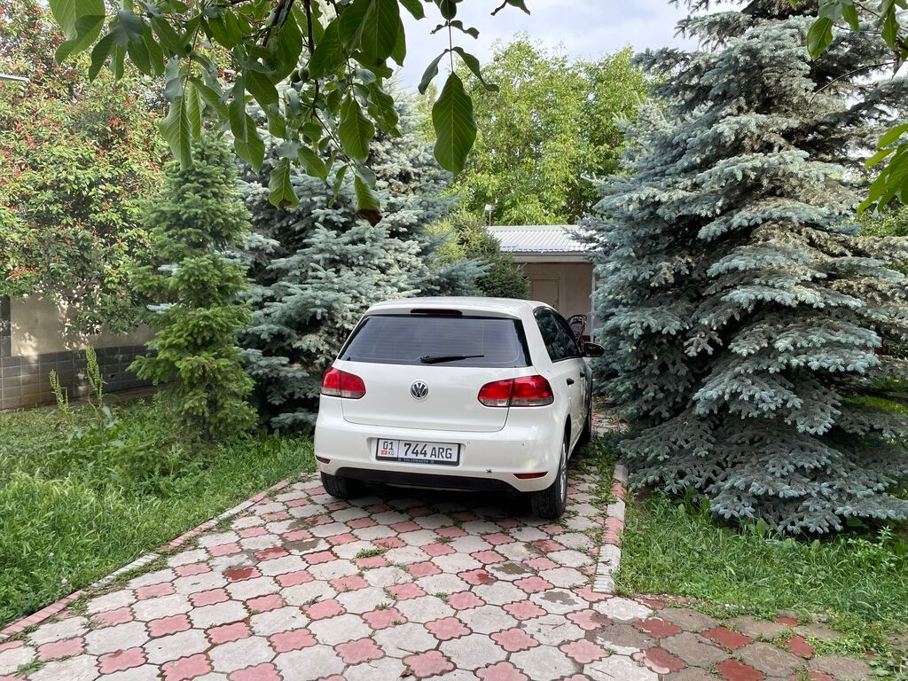 Volkswagen Golf: 2009 г., 1.6 л, Автомат, Бензин, Хэтчбэк: фото 2