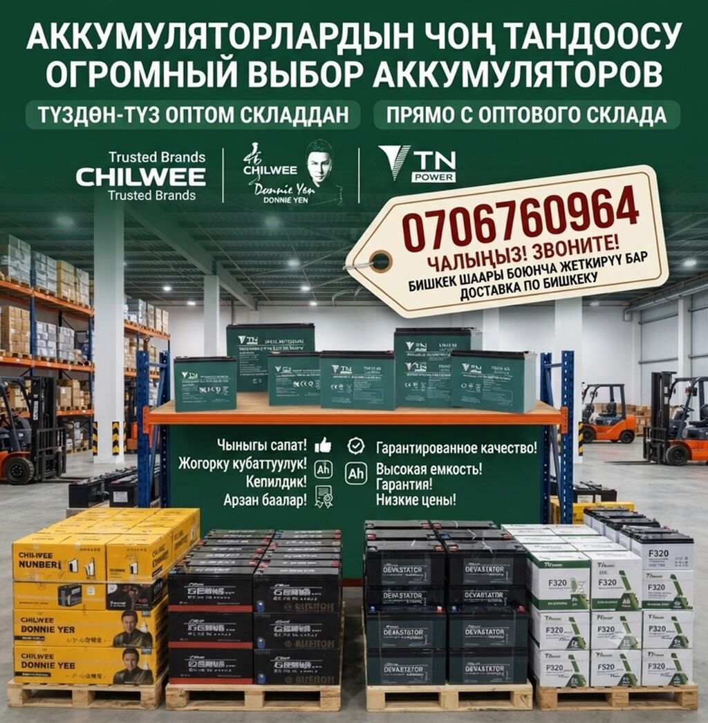 Свинцово‑кислотные аккумуляторы CHILWEE (серии 6‑EVF и 6‑GFM): фото 6