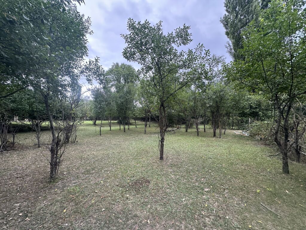 28 sot, Biznes üçün, Mülkiyyətçi, Kupça (Çıxarış)