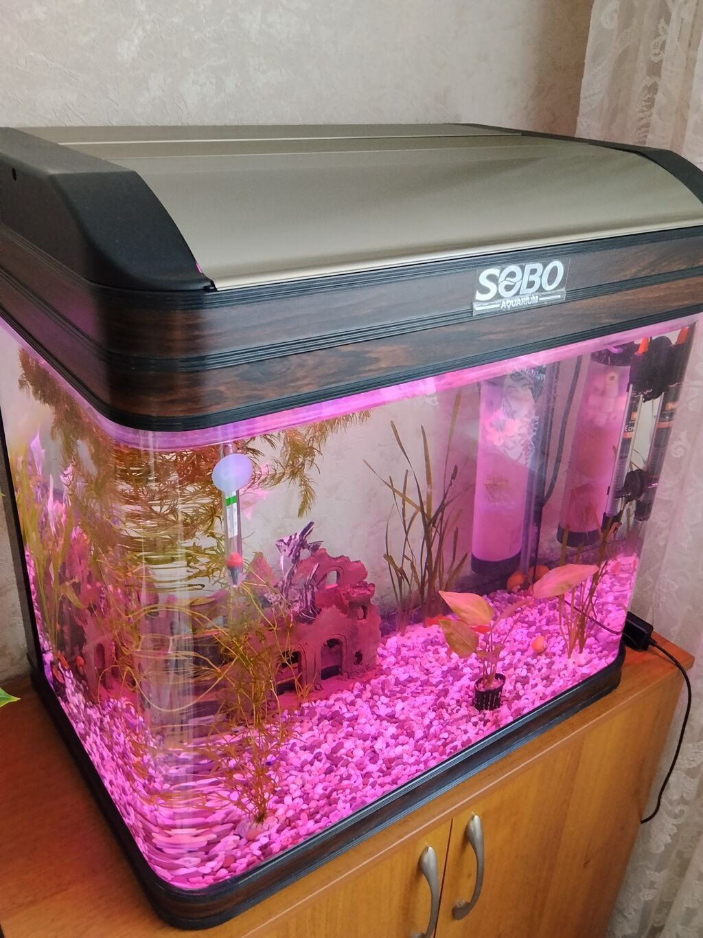 Аквариум SOBO с крышкой и внутренним оборудованием - Бренд: SOBO: фото 3