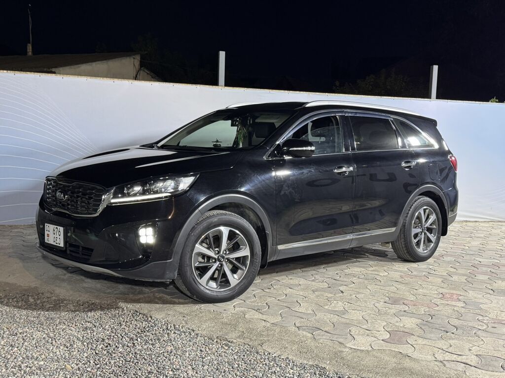 Kia Sorento: 2019 г., 2 л, Автомат, Дизель, Кроссовер: фото 3