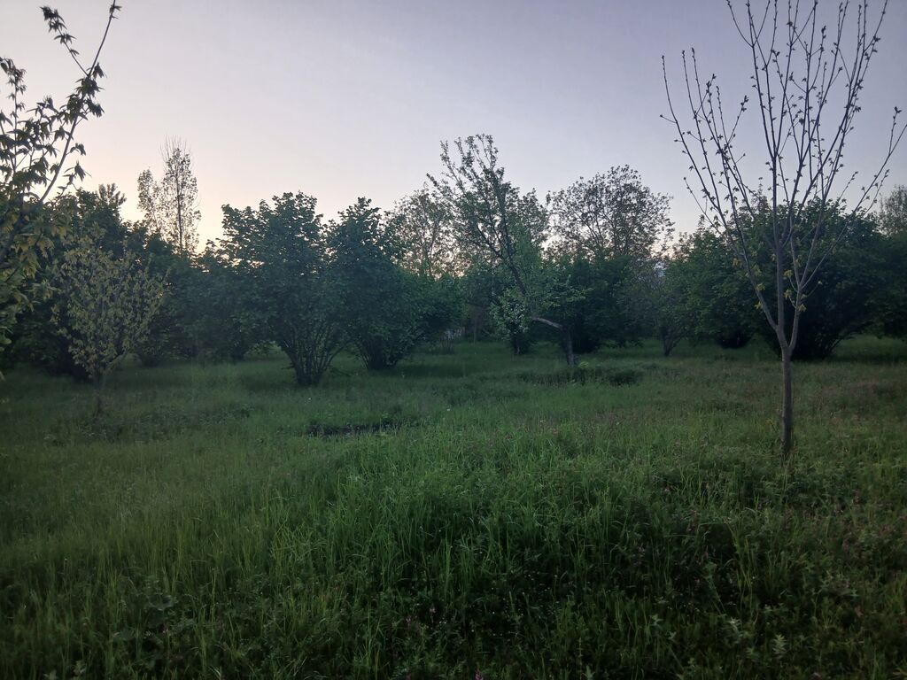 Satış üçün: yaşıllıqla əhatə olunmuş torpaq sahəsi - Təyinat
