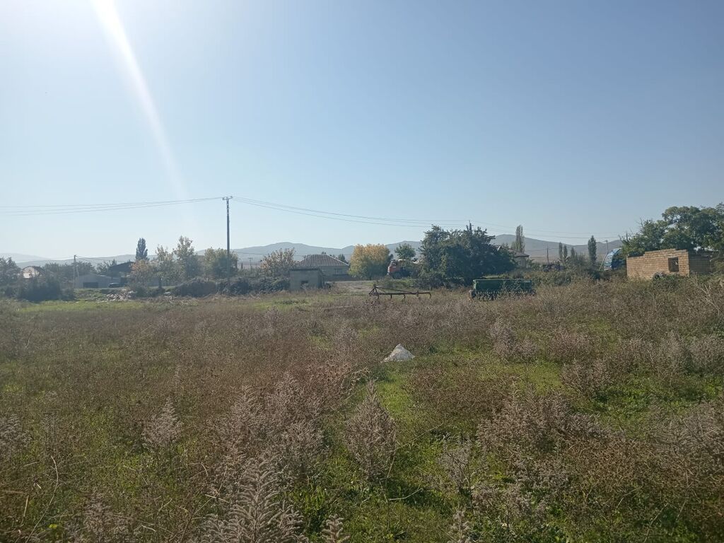 Biznes üçün
