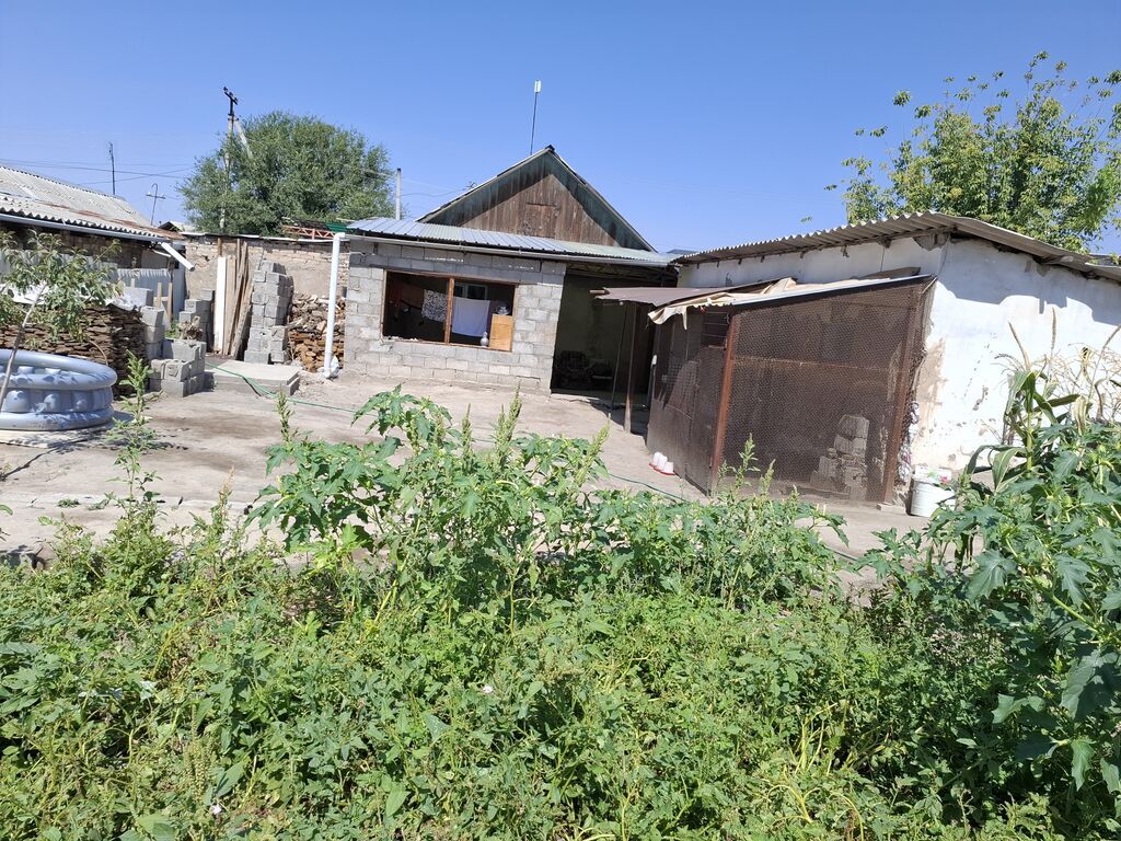 Город Токмок село Чуй(Покровка)улица Линейная 6 Дом с большим двором и: фото 6