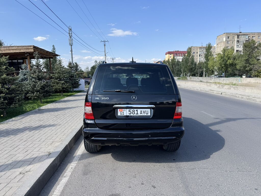 Mercedes-Benz M-Class: 2004 г., 3.7 л, Автомат, Газ, Внедорожник: фото 8