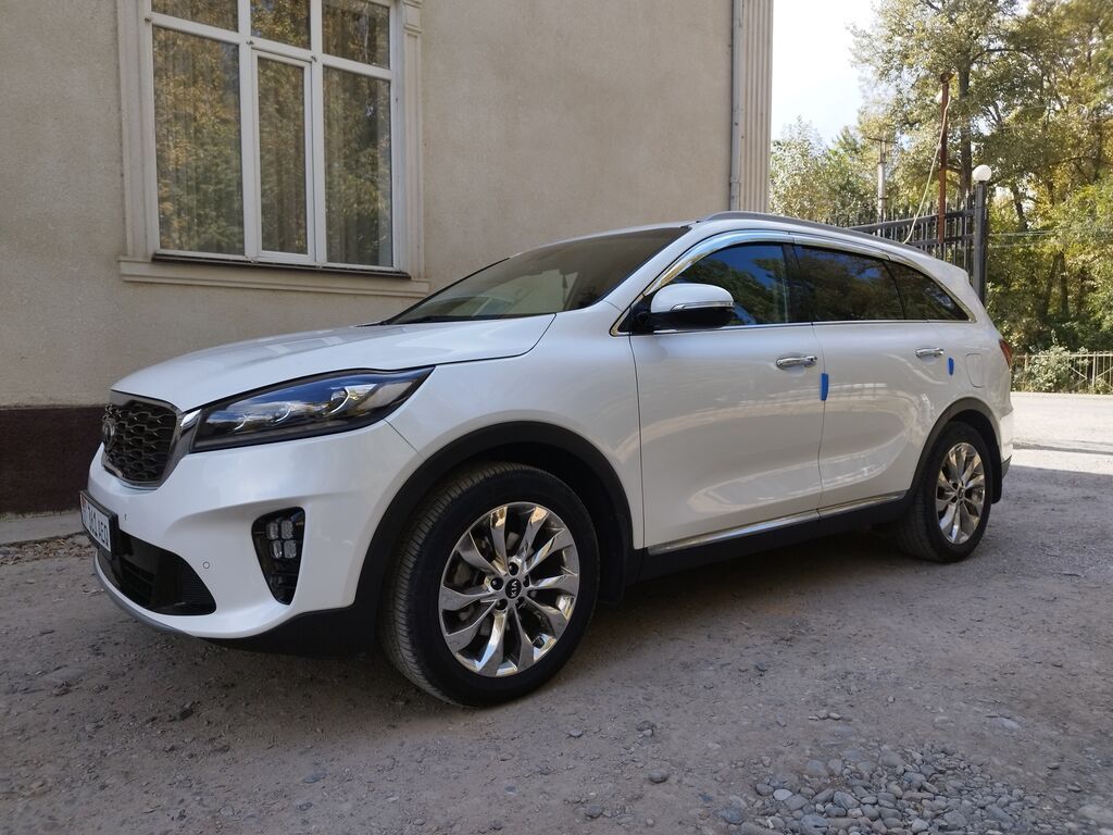 Kia Sorento: 2019 г., 0.2 л, Автомат, Дизель, Кроссовер: фото 4