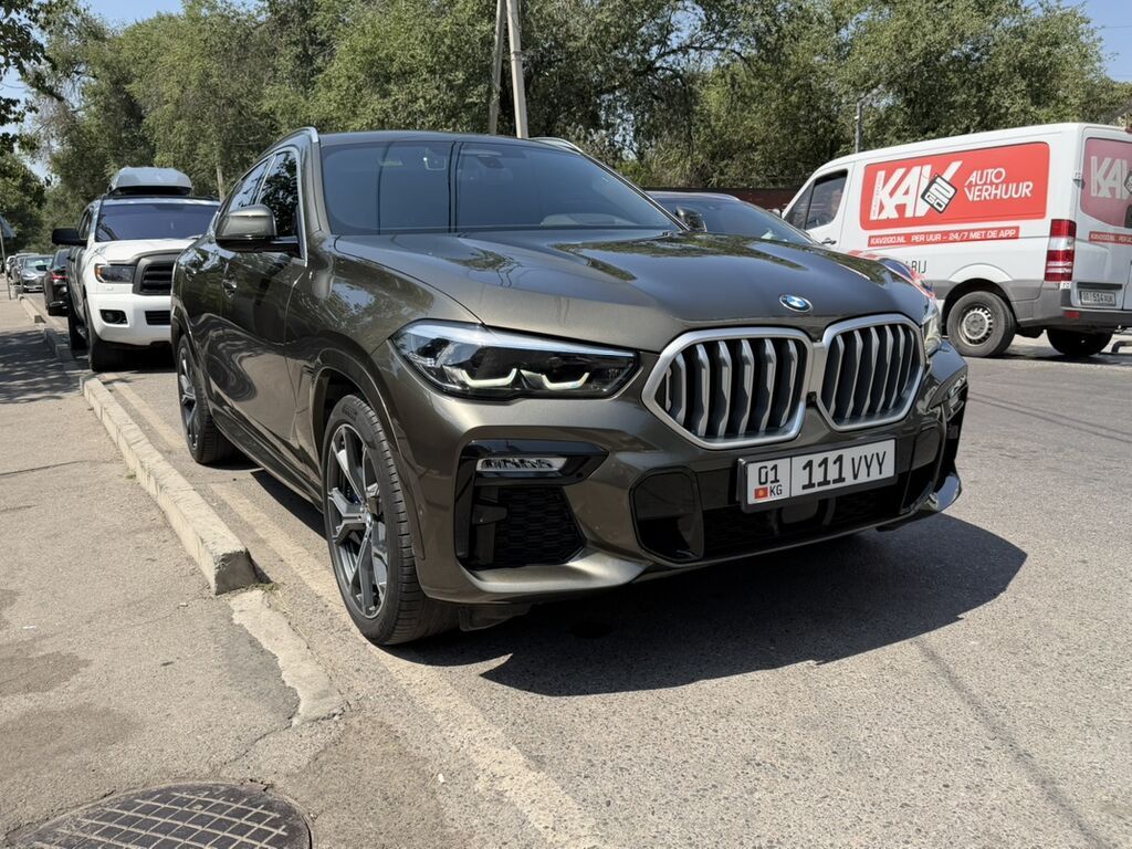 BMW X6: 2020 г., 3 л, Автомат, Дизель, Кроссовер: фото 6