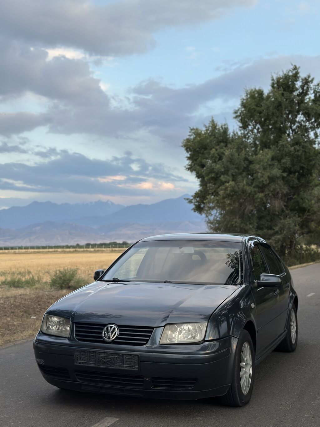Volkswagen Bora: 2002 г., 1.6 л, Автомат, Бензин: фото 2