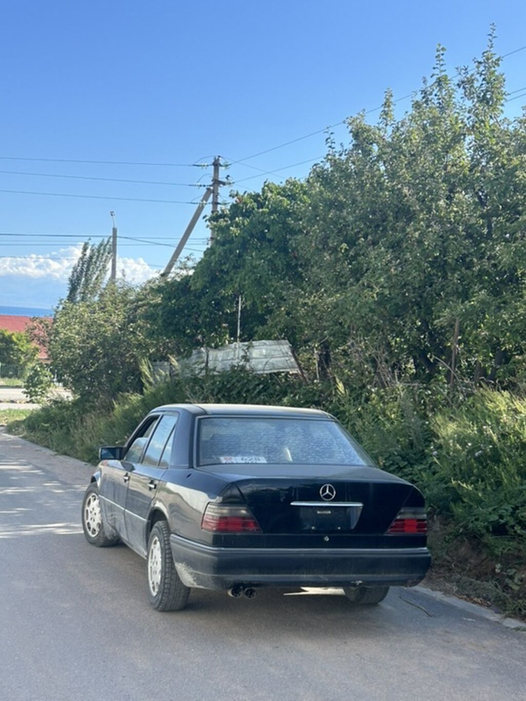 Mercedes-Benz W124: 1994 г., 3.2 л, Автомат, Бензин, Седан: фото 5