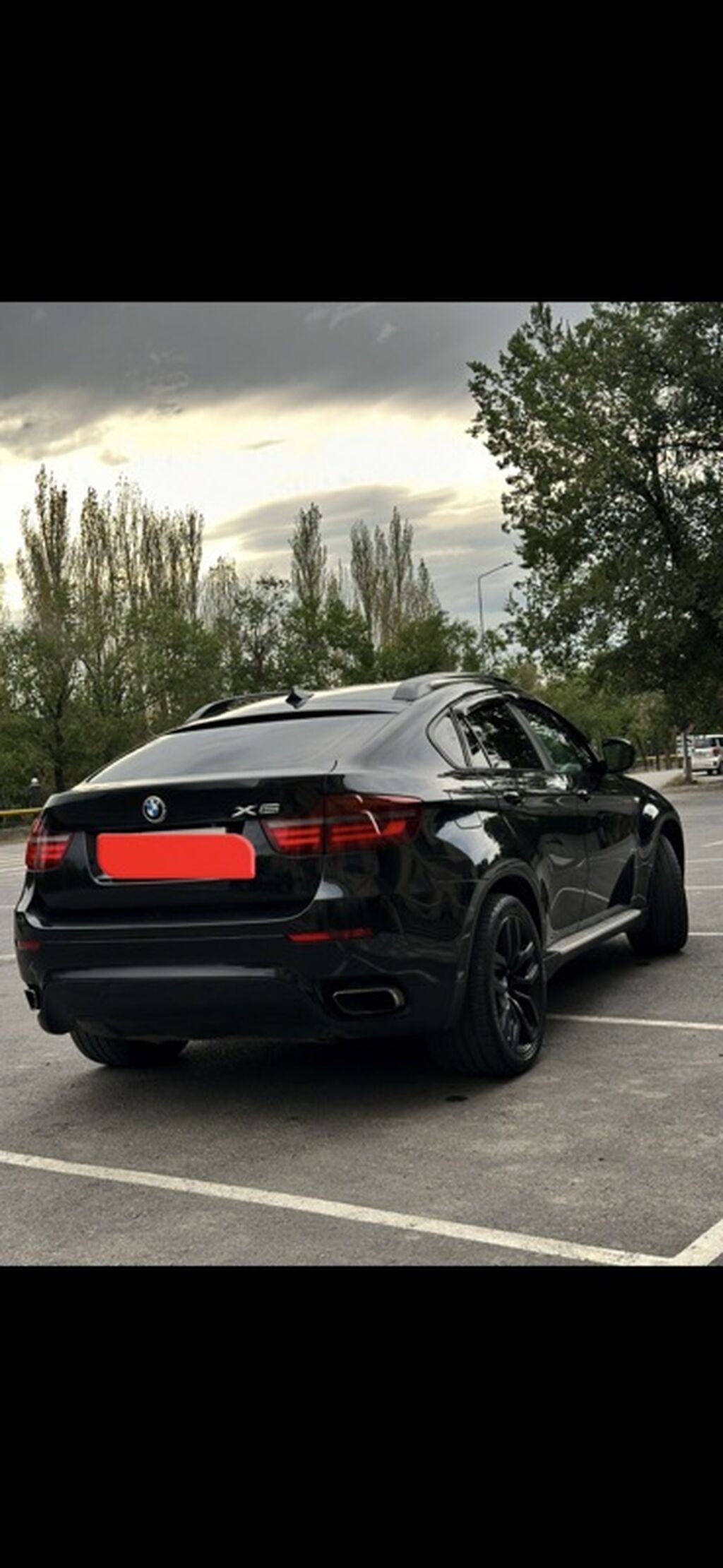 BMW X6: 2010 г., 3 л, Автомат, Бензин, Кроссовер: фото 3