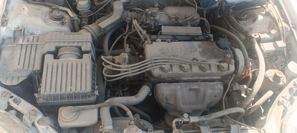 Honda Civic: 1996 г., Бензин, Седан: фото 6