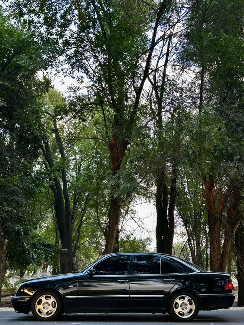 Mercedes-Benz E-Class: 1999 г., 4.3 л, Автомат, Бензин, Седан: фото 8