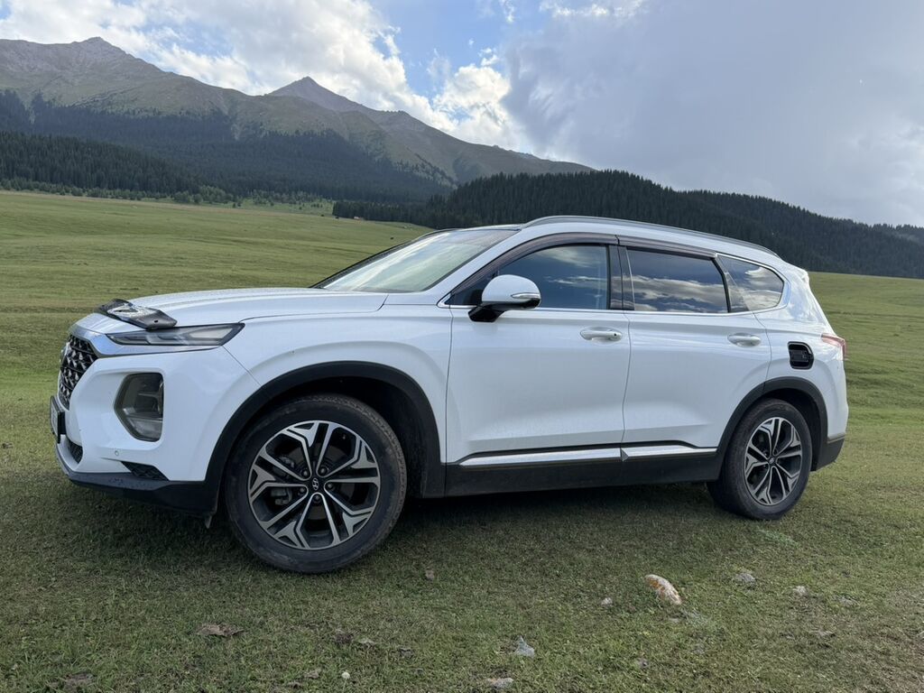 Hyundai Santa Fe: 2018 г., 2.2 л, Автомат, Дизель, Кроссовер: фото 4