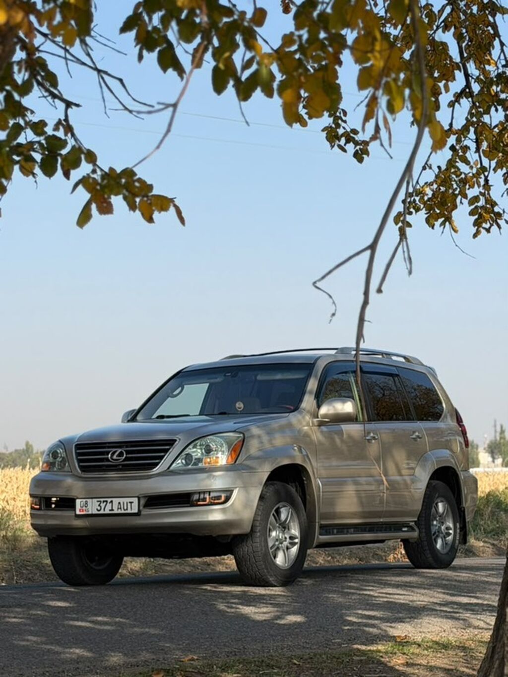 Lexus GX: 2008 г., 4.7 л, Газ, Внедорожник: фото 8