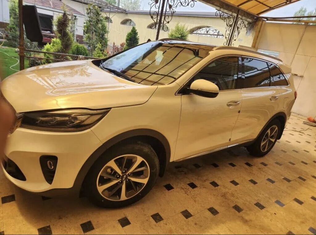 Kia Sorento: 2018 г., 2 л, Автомат, Дизель, Кроссовер: фото 1