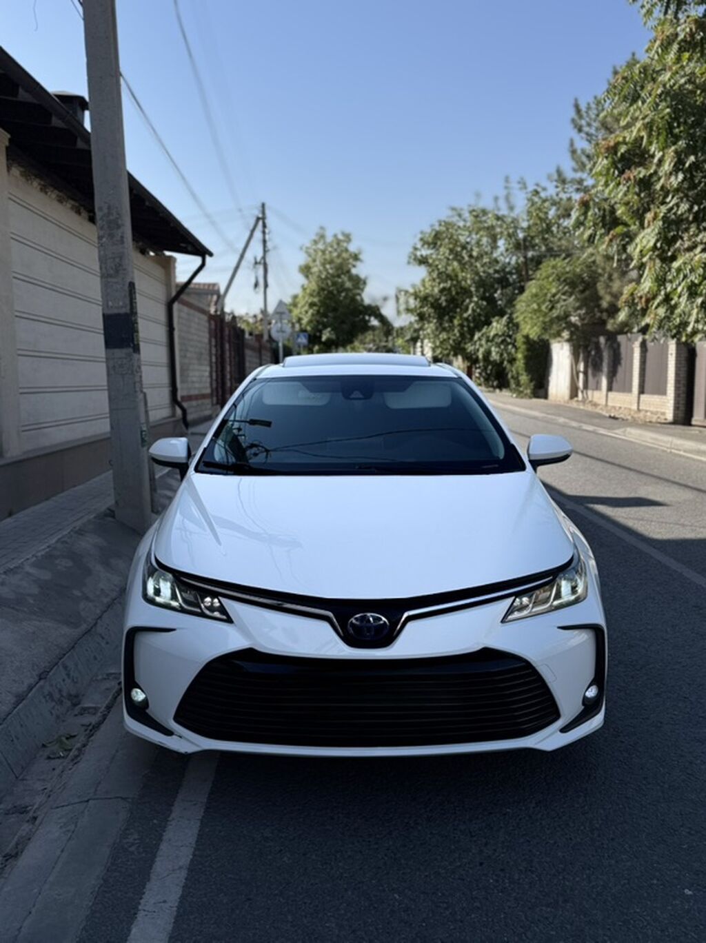 Toyota Corolla: 2022 г., 1.8 л, Гибрид, Седан: фото 6