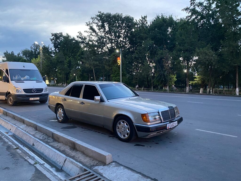 Mercedes-Benz W124: 1991 г., 2.3 л, Механика, Бензин, Седан — фото 1