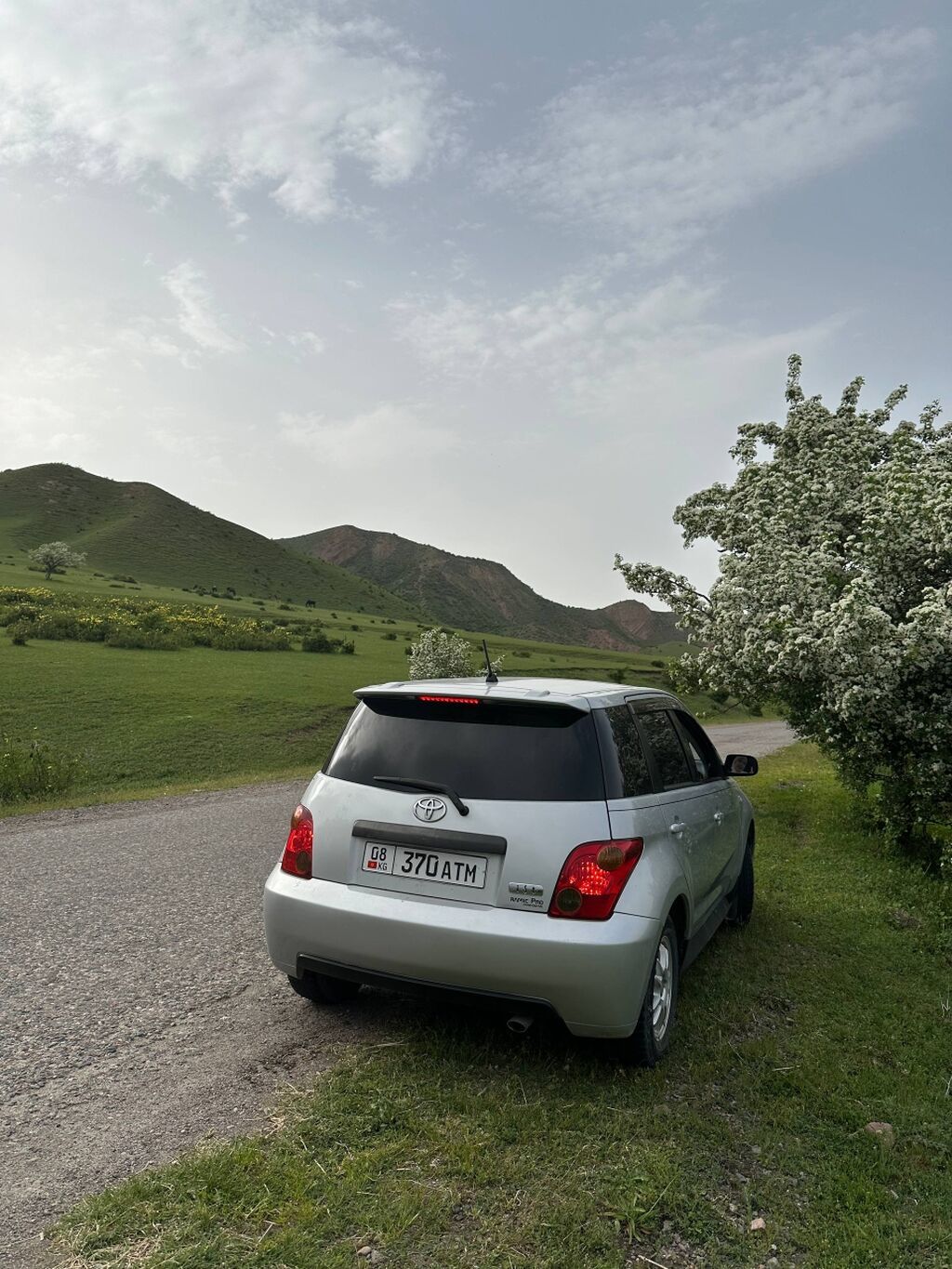 Toyota Ist: 2003 г., 1.5 л, Автомат, Хэтчбэк: фото 4