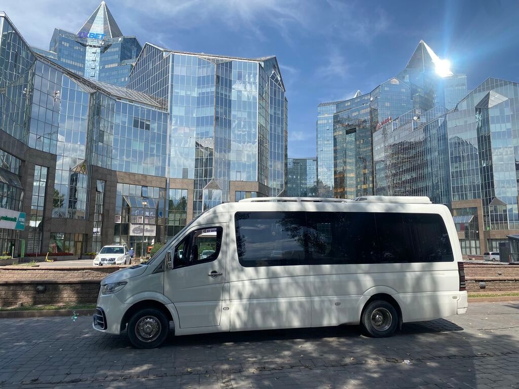 Автобус, Mercedes-Benz, 2009 г., 3 л: фото 5
