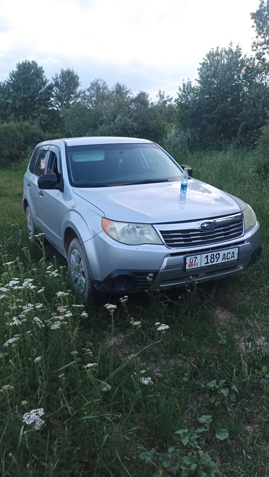 Subaru Forester: 2009 г., Кроссовер: фото 4