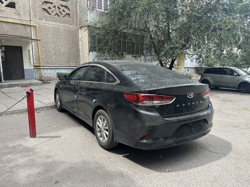 Hyundai Sonata: 2021 г., 2 л, Автомат, Газ, Седан: фото 4