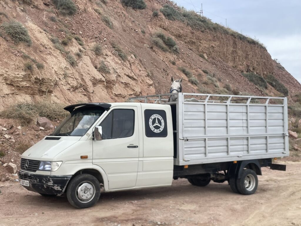 Mercedes-Benz Спринтер: 2001 г., 2.2 л, Механика, Дизель, Фургон: фото 2