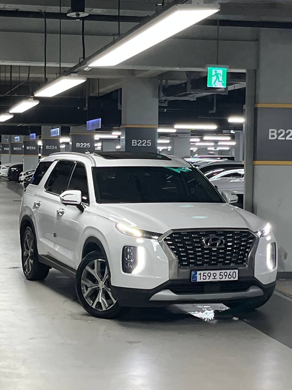 Hyundai Palisade: 2022 г., Автомат, Дизель, Кроссовер: фото 2