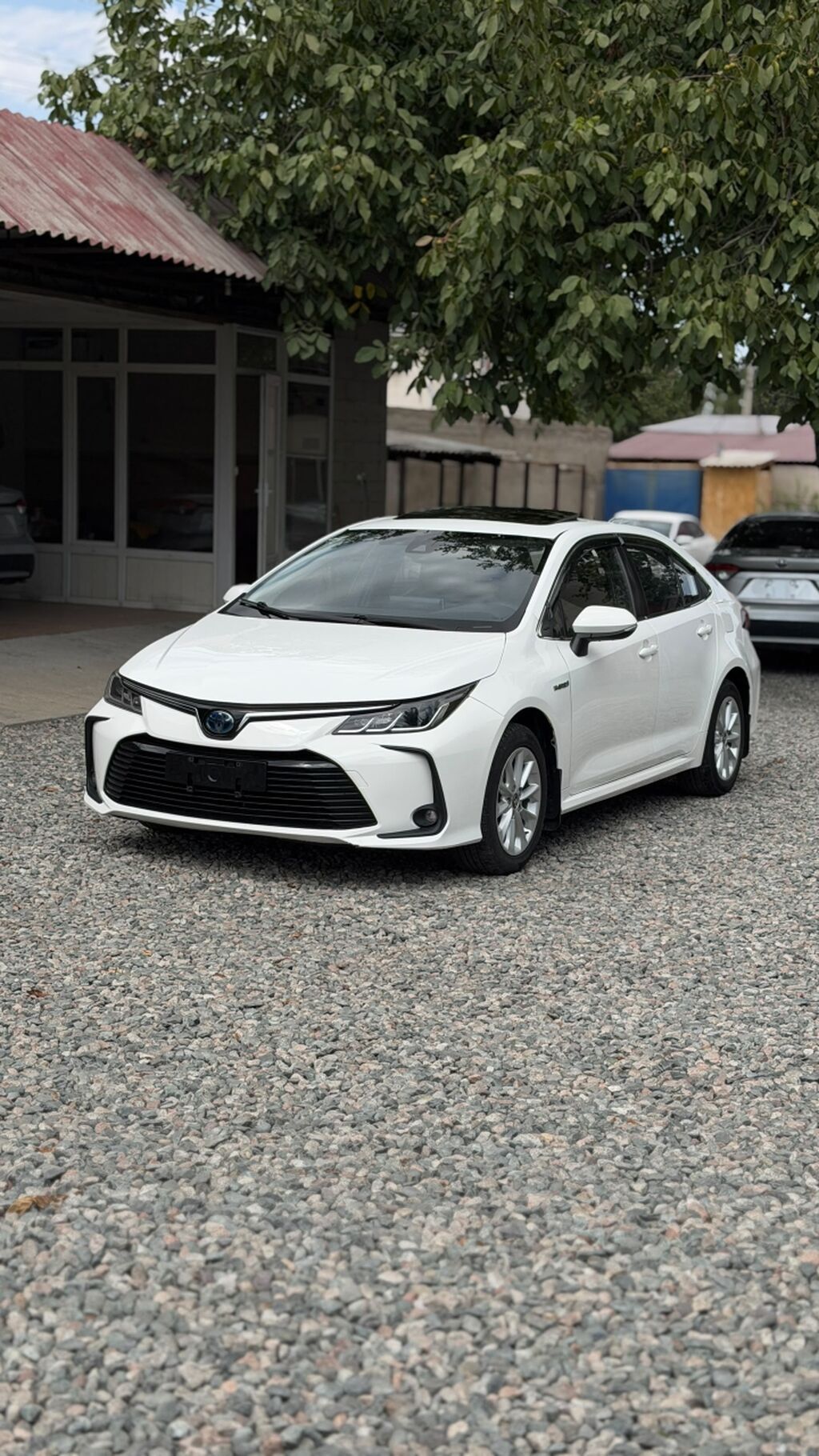 Toyota Corolla: 2019 г., 1.8 л, Вариатор, Гибрид, Седан: фото 3