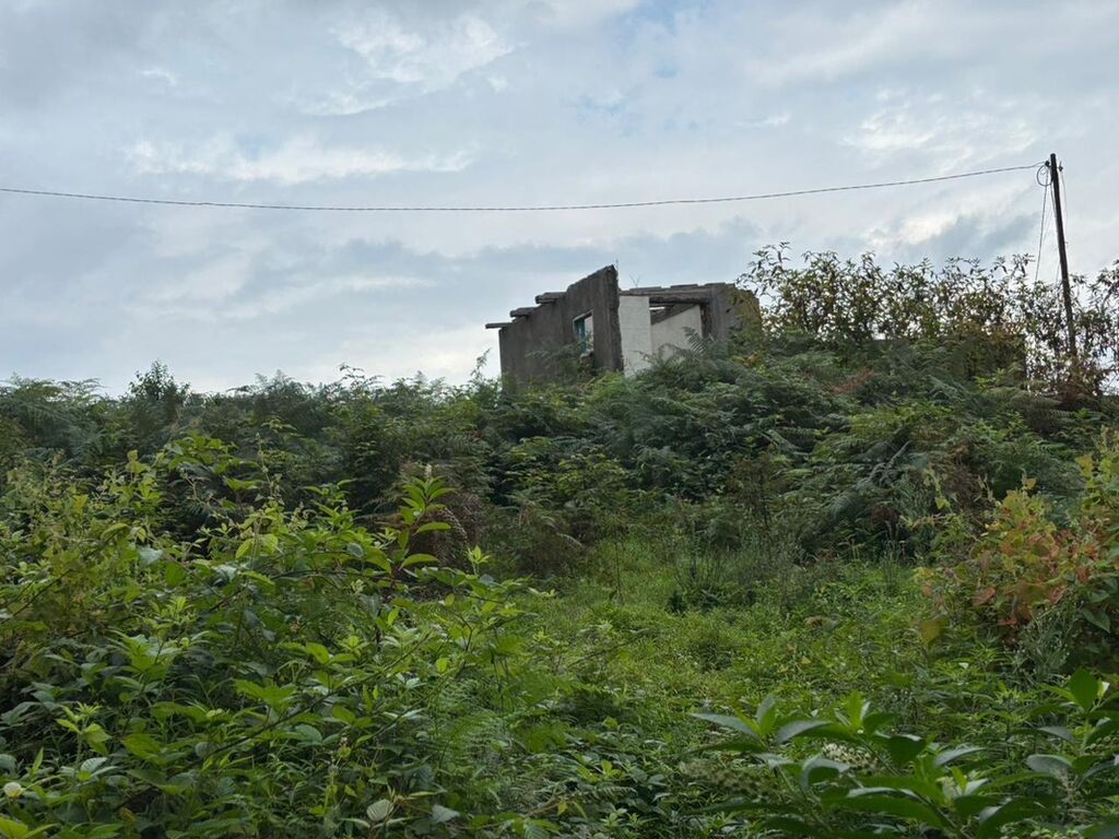 Tikinti